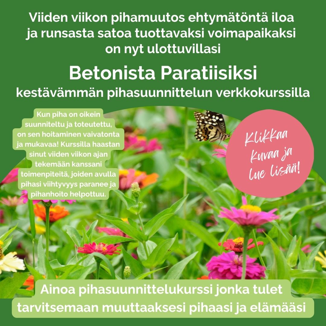 pihasuunnittelukurssi, pihasuunnittelu verkkokurssi, fengshui puutarhassa, fengshui kurssi